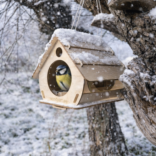 puidust linnumaja kasevineerist linnumaja linnumaja aeda linnumaja hoovi linnumaja riputatav